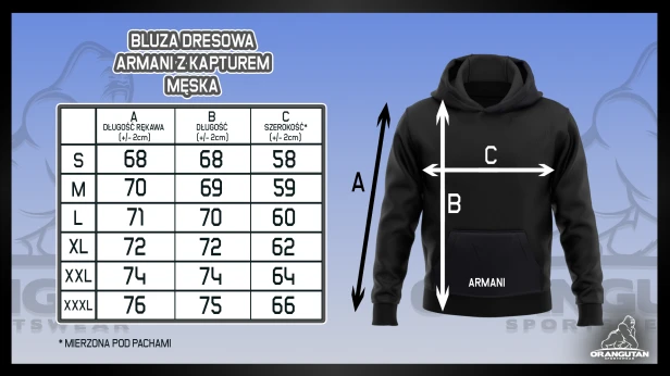 BLUZA ARMANI MĘSKA.png