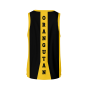 WIZUALIZACJA KOSZULKA KOSZYKARSKA CZARNA ZŁOTE WSTAWKI TYŁ.png